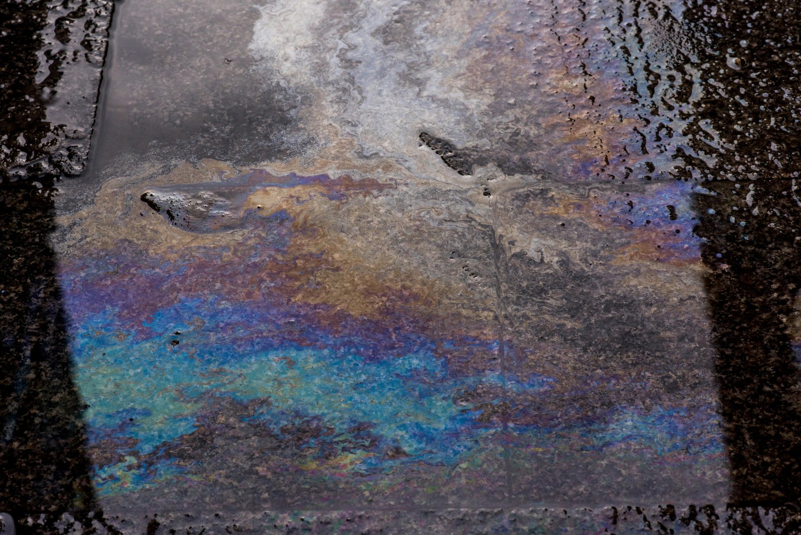 Oil Spills & Biodiversity: Lessons from the Delta